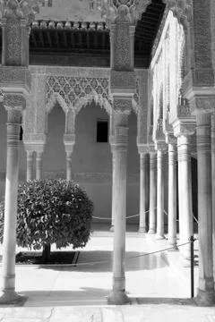 Columns in black and white Фото