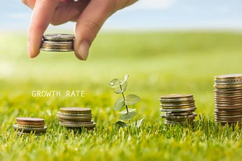 The columns of coins on grass Stock Photos