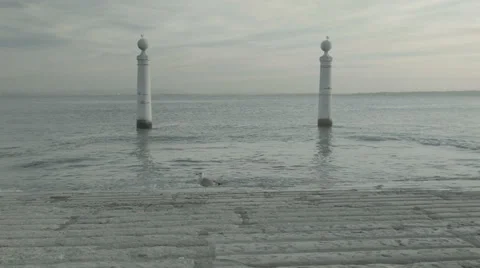 Columns Pier and Seagull Stock Footage 60676627