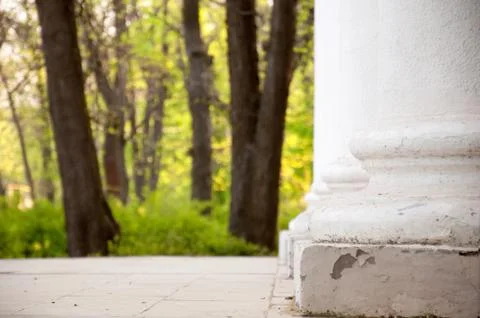 Columns standing in a row against the background of trees Stock Photos