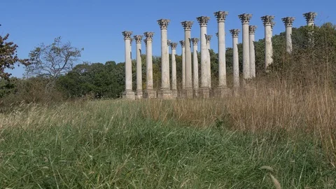 Columns with swaying grass in foreground 4K Stock Footage 97757441