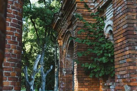 Columns. Vertical windows in an old brick building Stock Photos