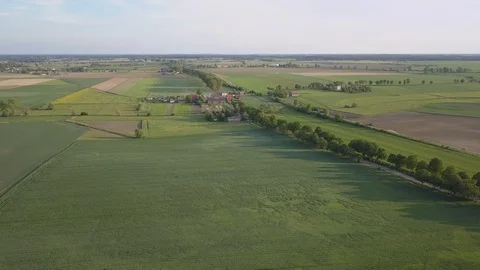 Colza fields seen from above. Stock-Footage 108801560