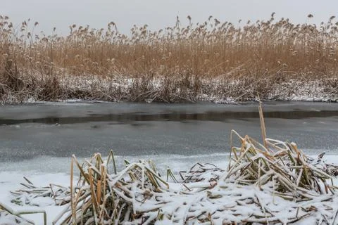 Comana lake in winter Stock Photos