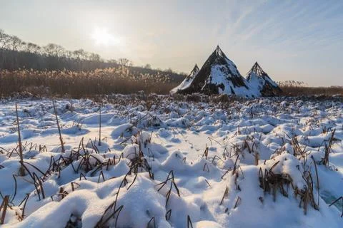 Comana lake in winter Stock Photos