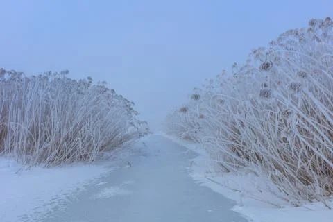 Comana lake in winter Stock Photos