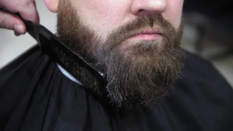 To comb a beard. Barber cuts client beard with a professional beard trimmer in a Video stock 103449390