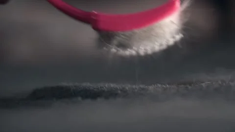 Comb for cats Stockbeeldmateriaal 145943702