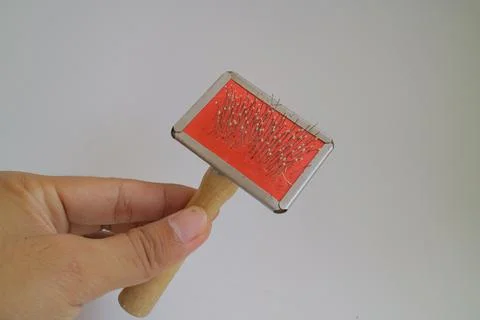 Comb for combing dog or cat hair Stock Photos