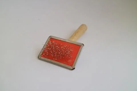 Comb for combing dog or cat hair Stock Photos