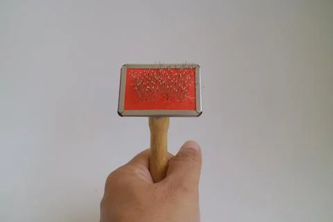 Comb for combing dog or cat hair Stock Photos