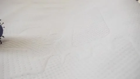 Comb with hair Stock Footage 136550419