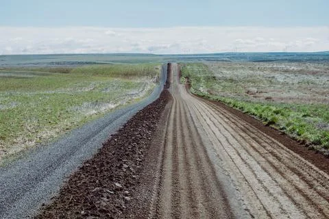 Comb Over Fotos de archivo