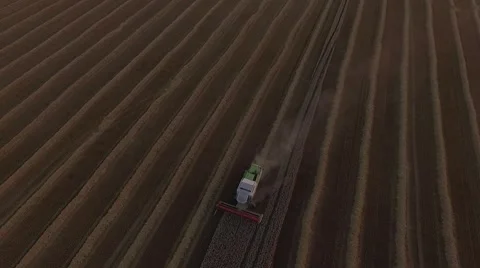 Combaines threshing wheat at sunset aerial Stock Footage 65251902