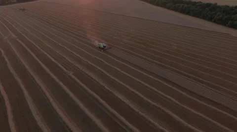 Combaines threshing wheat at sunset Stock Footage 65251878