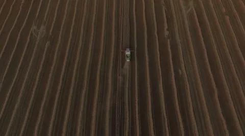 Combaines threshing wheat top view Stock Footage 65251838