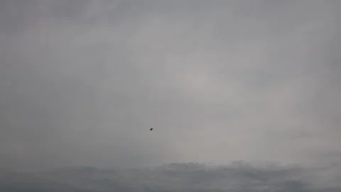Combat jet dives fast through stormy sky over treetops capturing high-speed mane Stock Footage 311662225
