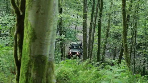 Combat Special Forces training Stock Footage 70951022