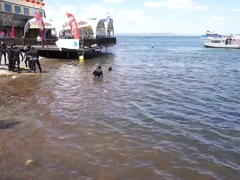 Combat swimmers Vídeo Stock 75796040