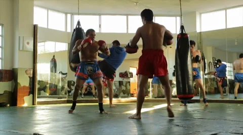 Combat Training Stock Footage 38353784