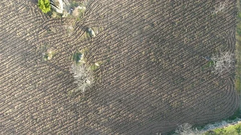 Combed earth texture Stock-Footage 142758993