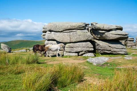 Combestone Tor in Devon Stock Photos
