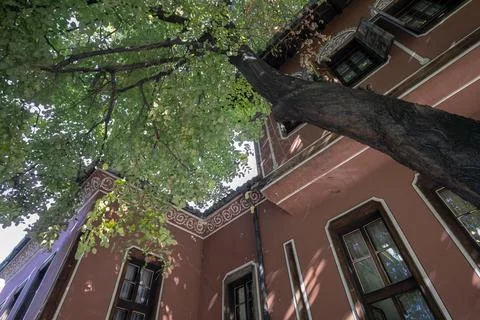 A combination between a tree and a building Stock Photos