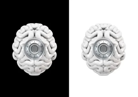 Combination brain Stock-Illustration