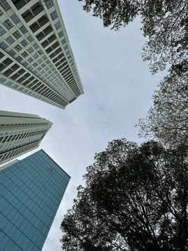 Combination Of Buildings With Trees Stock Photos