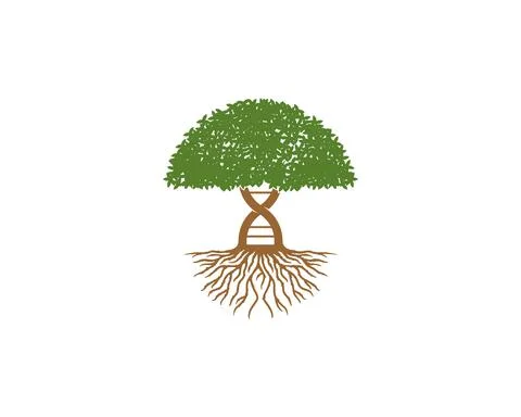 Combination DNA helix with dense tree illustration Stock Illustration