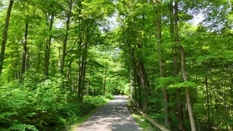 Combination - Green Lakes State Park - Syracuse, NY Video stock 336537443