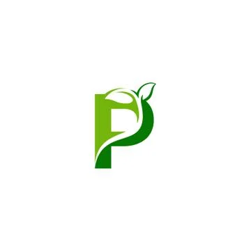 Combination of green leaf and initial letters P logo design vectors Stock Illustration