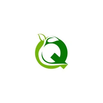 Combination of green leaf and initial letters Q logo design vectors Illustrazione stock