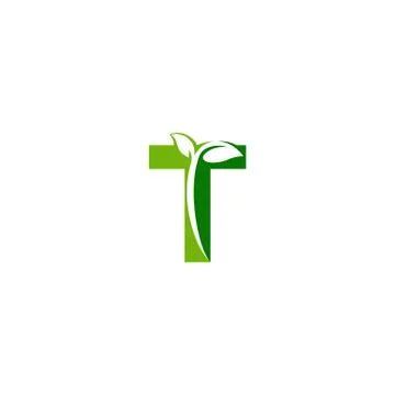 Combination of green leaf and initial letters T logo design vectors Stock Illustration