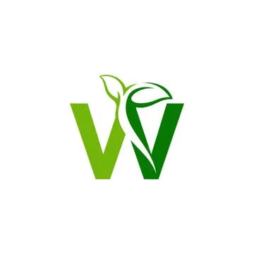 Combination of green leaf and initial letters W logo design vectors Stock Illustration