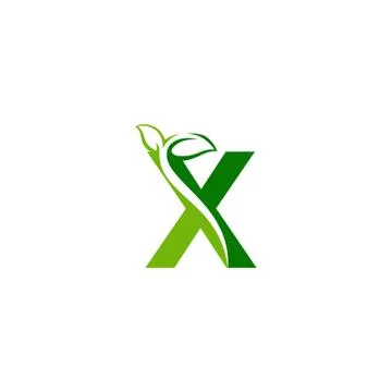Combination of green leaf and initial letters X logo design vectors Stock Illustration