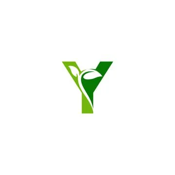 Combination of green leaf and initial letters Y logo design vectors Stock Illustration