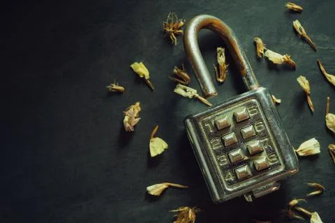 Combination padlock on blackboard background. Stock Photos