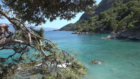 Combination of the sea and forest elements in the Turkish Mediterranean seasi Stock Footage 112895605