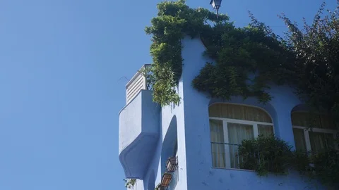 Combinations and of trees and architecture in Sicily Stock Footage 91186360