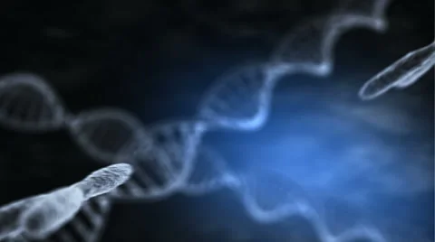 Combinations of chromosomes Vidéo 48717068