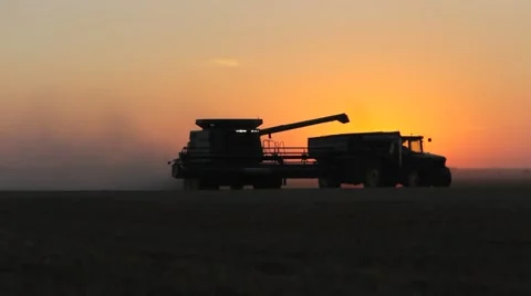 Combine and Tractor during Wheat Harvest Vídeo Stock 60062099