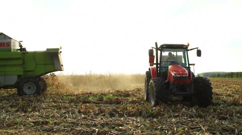 Combine and tractor harvester corn Stock Footage 32151324