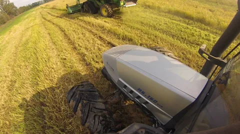 Combine and tractor harvester rice Video stock 32151375