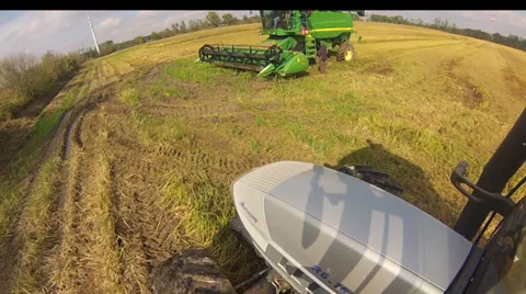 Combine and tractor harvester rice Video stock 32151383