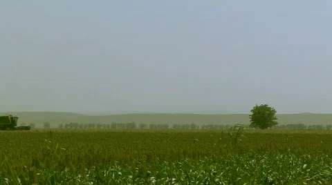  combine collects wheat Stock Footage 855772
