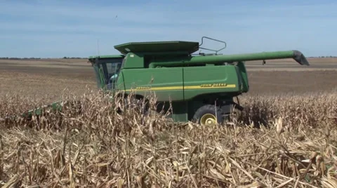 Combine Corn Harvest Stock-Footage 36571477