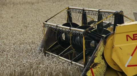 Combine crossing screen in wheat field Tight shot 스톡 동영상 20540036