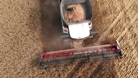Combine cultivation of wheat Stock Footage 249512184