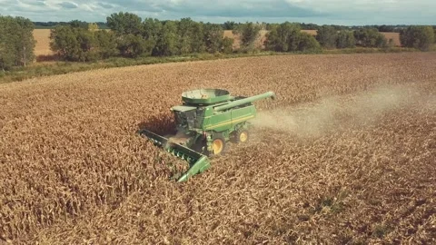 Combine Cutting Corn Stock Footage